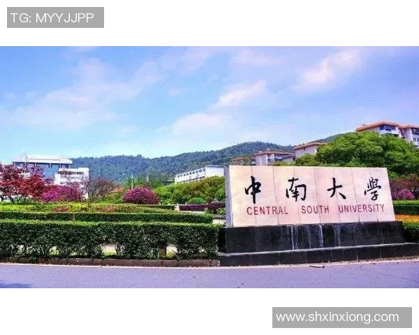 宁波大学与中南大学的学术对比与发展潜力分析