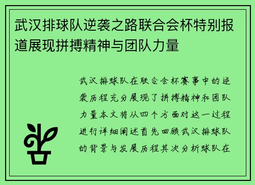 武汉排球队逆袭之路联合会杯特别报道展现拼搏精神与团队力量