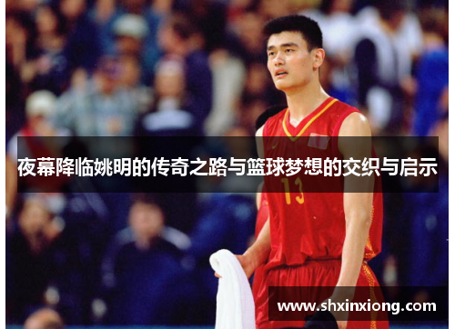 夜幕降临姚明的传奇之路与篮球梦想的交织与启示