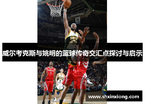 威尔考克斯与姚明的篮球传奇交汇点探讨与启示