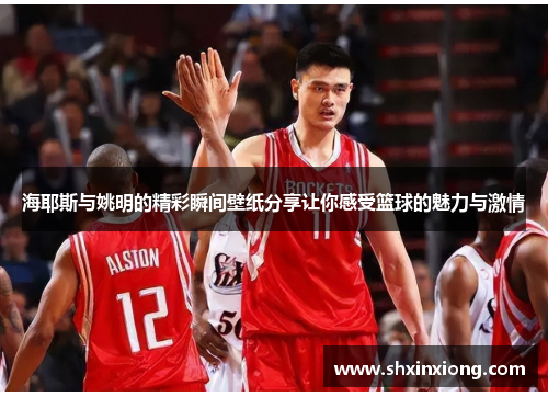 海耶斯与姚明的精彩瞬间壁纸分享让你感受篮球的魅力与激情