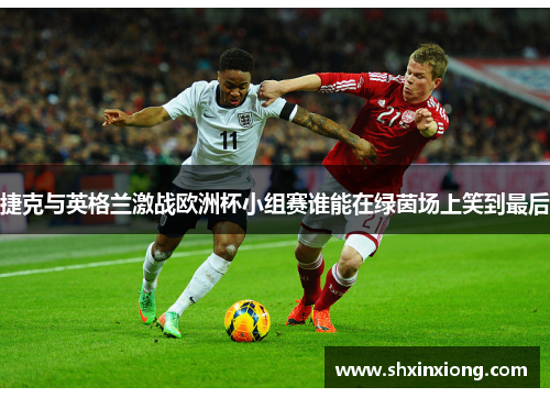 捷克与英格兰激战欧洲杯小组赛谁能在绿茵场上笑到最后